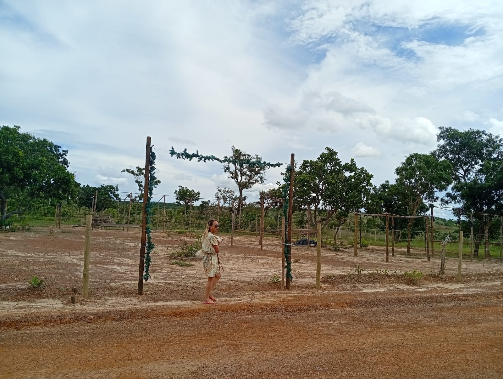 Vista do terreno doado 2