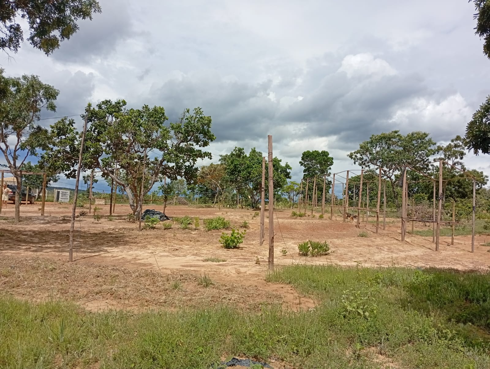 Vista do terreno doado 3