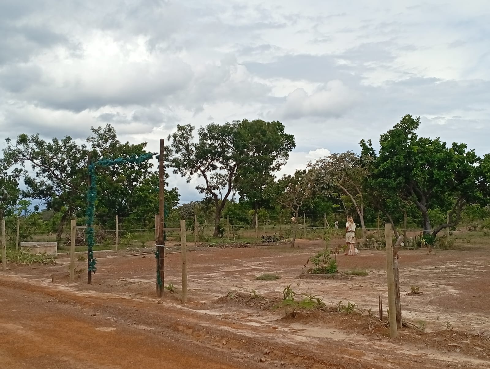 Vista do terreno doado 4